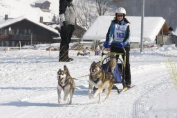 Lenk 2012 SM